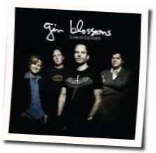 Come On Hard Chords by Gin Blossoms