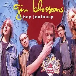 Hey Jealousy Tab by Gin Blossoms