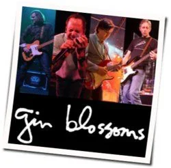 I Don't Want To Lose You Now Chords by Gin Blossoms