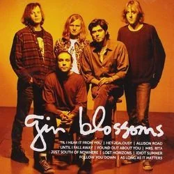 Idiot Summer Chords by Gin Blossoms