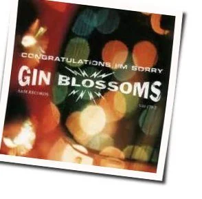 Not Only Numb Chords by Gin Blossoms
