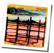Hey Jealousy Tab by Gin Blossoms