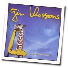 Highwire Tab by Gin Blossoms
