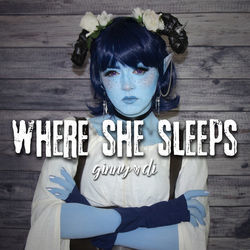 Where She Sleeps by Ginny Di