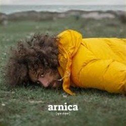 Arnica by Gio Evan