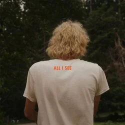 all i see