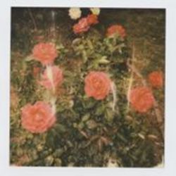 Watch You Sleep Ukulele Chords by Girl In Red