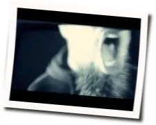 Die Liedjie Oor Die Meisie Ek Wil Jou He Tab by Glaskas