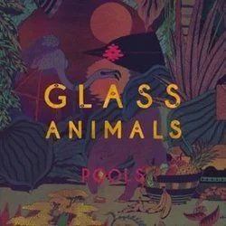 Pools Chords by Glass Animals