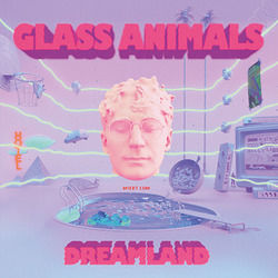 Heat Waves by Glass Animals