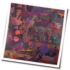 Jdnt Chords by Glass Animals