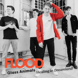 Melon And The Coconut Intro by Glass Animals
