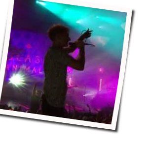 Woozy Bass Tab by Glass Animals