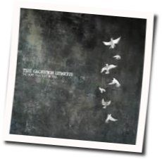 Falling Into You Chords by The Glorious Unseen
