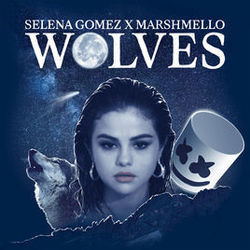 Wolves Intro by Selena Gomez