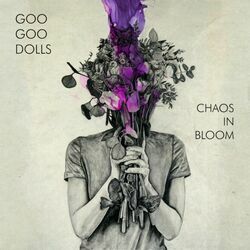 Yeah I Like You Bass Tab by The Goo Goo Dolls
