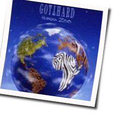 Where I Belong Chords by Gotthard