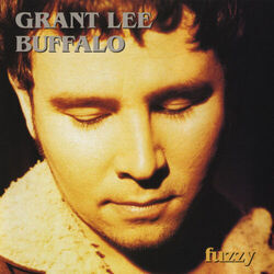 Wish You Well Chords by Grant Lee Buffalo