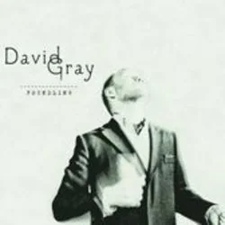 Holding On Chords by David Gray
