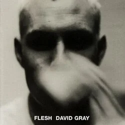 Mystery Of Love Chords by David Gray