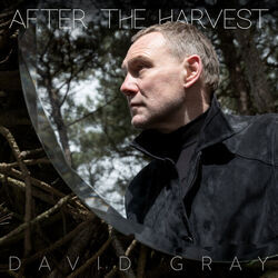 After The Harvest Tabs by David Gray