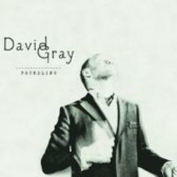 Holding On Chords by David Gray