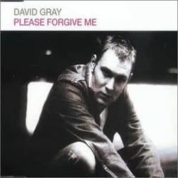 Please Forgive Me by David Gray