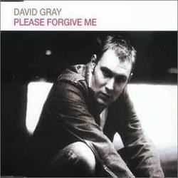 Please Forgive Me Bass tabs by David Gray