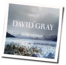 Real Love by David Gray