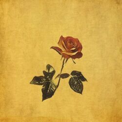 Lo How A Rose Eer Blooming Chords by The Gray Havens