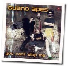 You Can't Stop Me Tab by Guano Apes