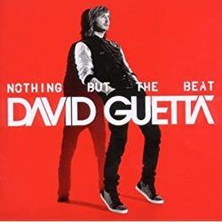 Nothing Really Matters by David Guetta