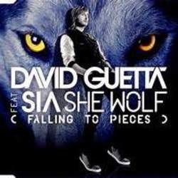 She Wolf Falling To Pieces Chords by David Guetta
