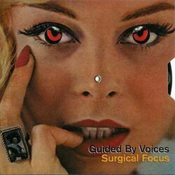 Fly Into Ashes by Guided By Voices