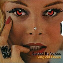 Fly Into Ashes Chords by Guided By Voices