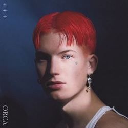 Bluebird by Gus Dapperton