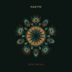 Till The Morning Chords by HAEVN