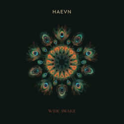 Till The Morning Chords by HAEVN