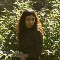 Foxglove Intro Tab by Haley Heynderickx