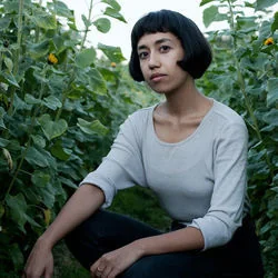 The Bug Collector Tab by Haley Heynderickx