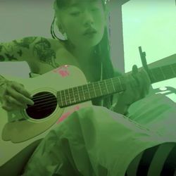 The Bug Collector Acoustic Tabs by Haley Heynderickx