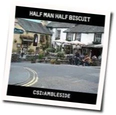 King Of Hi Vis Chords by Half Man Half Biscuit