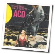 Reflections In A Flat Chords by Half Man Half Biscuit