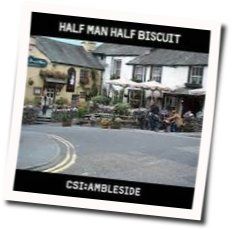 King Of Hi Vis Chords by Half Man Half Biscuit