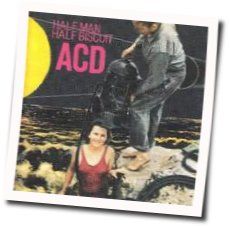 Reflections In A Flat Chords by Half Man Half Biscuit