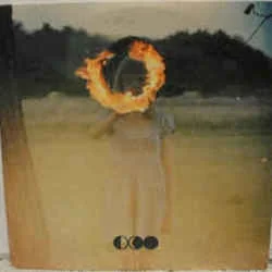 Call Me In The Afternoon Bass Tab by Half Moon Run
