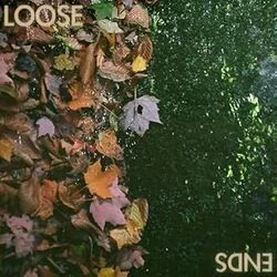 Loose Ends Chords by Half Moon Run