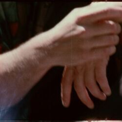 Can't Stop Loving You Chords by Half Moon Run