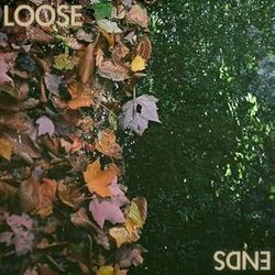 Loose Ends Chords by Half Moon Run
