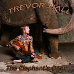 Beautiful Lunatic Chords by Trevor Hall